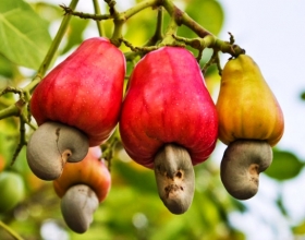 Giá cả hợp lý